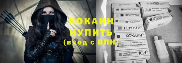 шишки Белоозёрский