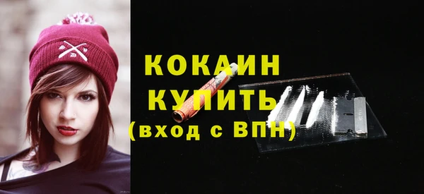 шишки Белоозёрский