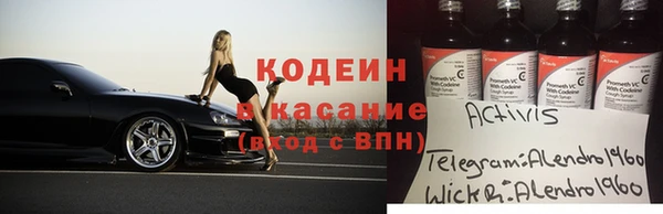 индика Богданович