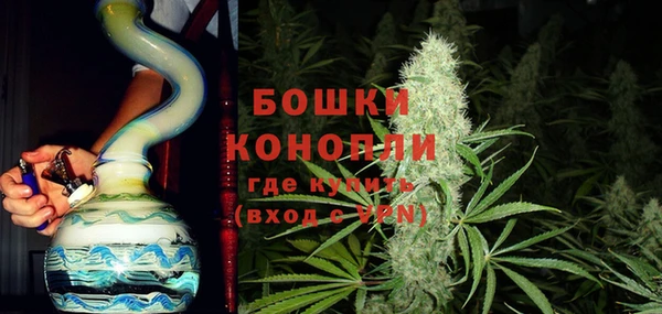 шишки Белоозёрский