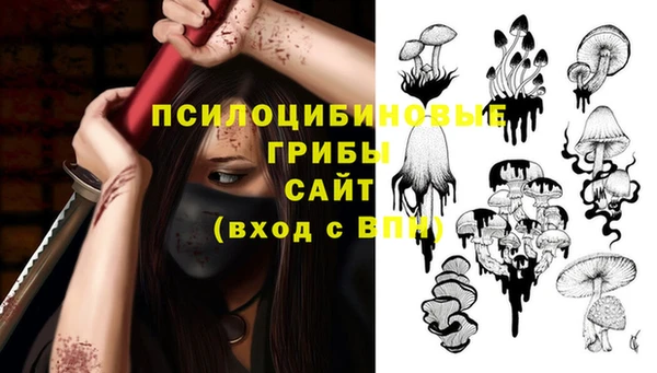 стаф Баксан