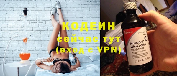 шишки Белоозёрский
