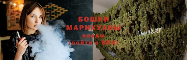 шишки Белоозёрский