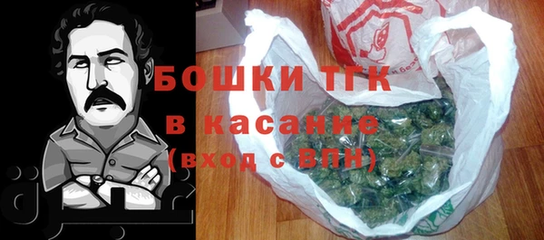 шишки Белоозёрский
